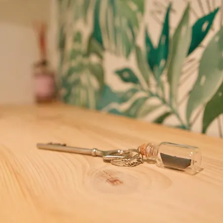 Au Coeur De Cosy Apartment *